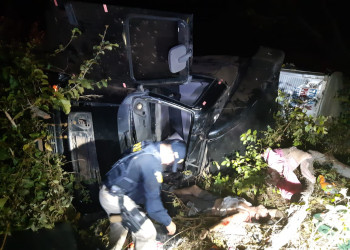 Motorista de caminhão morre após perder o controle do veículo na BR-316